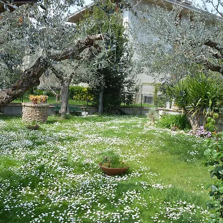 Bed and Breakfast Casa Amabili 3*
